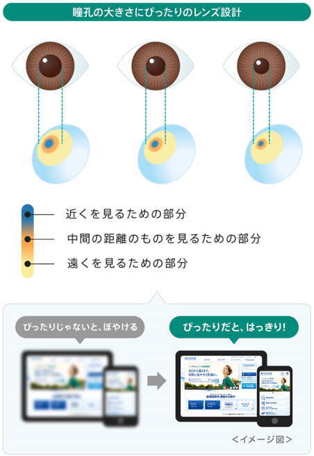 瞳孔の大きさ2