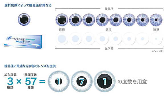 瞳孔の大きさ2