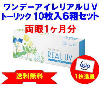ワンデーアイレリアルUVトーリック 6箱セット