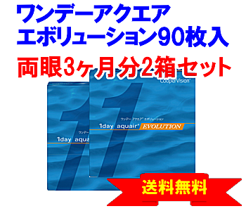 ワンデーアクエアエボリューション 90枚入2箱セット