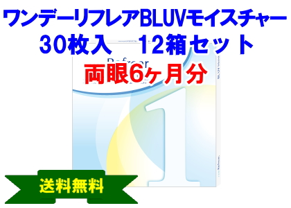 ワンデーリフレアBLUVモイスチャー 12箱セット