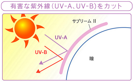 UVカット 