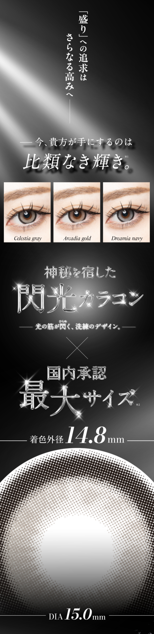 ラヴェール 10枚入の新色