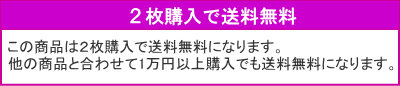 2枚で送料無料