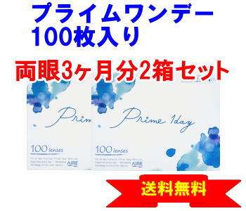 プライムワンデー 100枚入り2箱セット