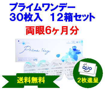 プライムワンデー12箱セット