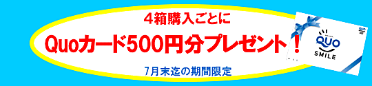 プライムワンデー期間限定クオ進呈