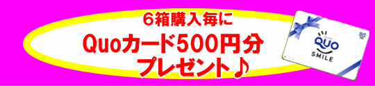 6箱でQuoカードプレゼント